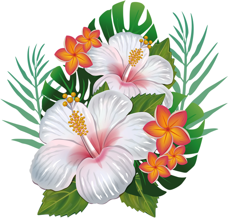 Illustration white lilies