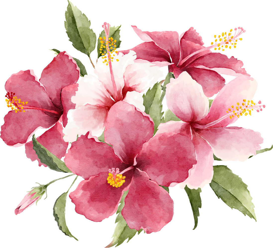 Tropical Hibiscus Flowers Bouquet